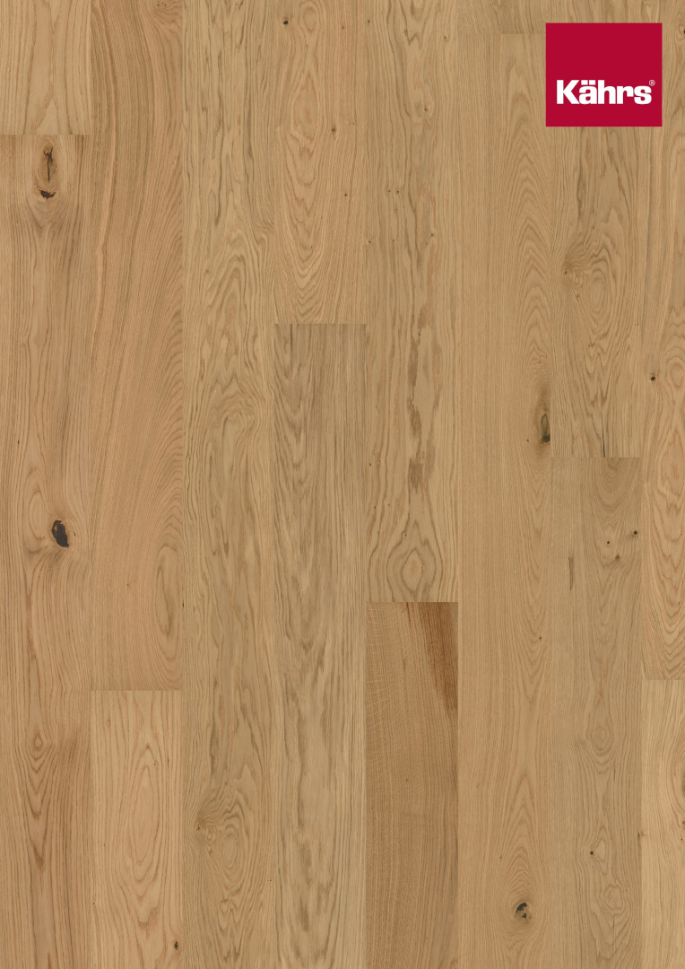 Flora-Eiche Aster Mattlack-131248220-SP_Galerie1