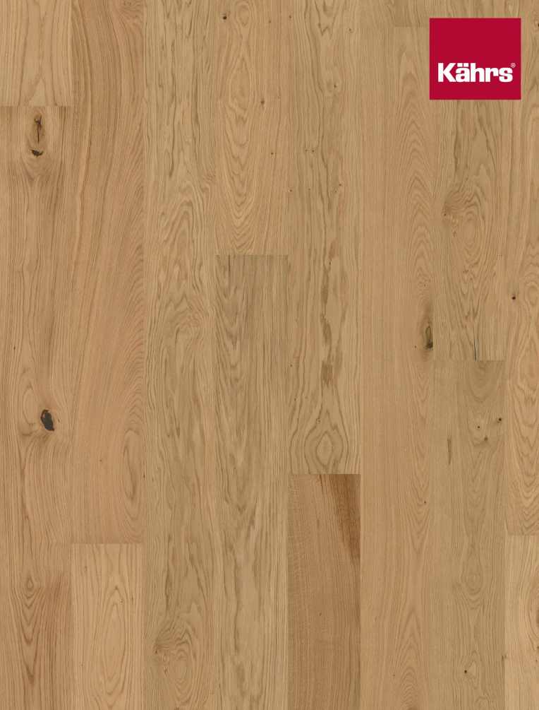 Flora-Eiche Aster Mattlack-131248220-SP_Seitenbild